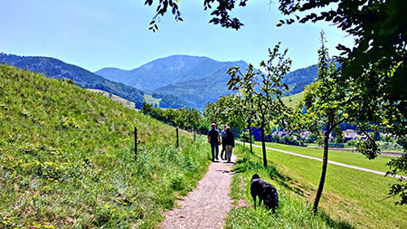 Wandern mit Blick auf den Belchen, Münstertal