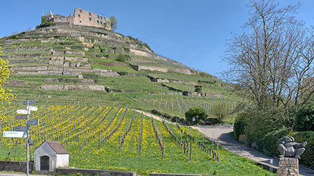 Fauststadt Staufen